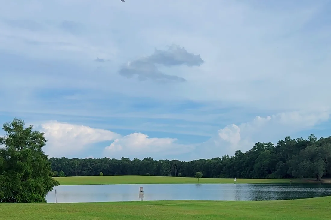 The wide open lawn at Eastgate Park sloping down to the water under a big sky
