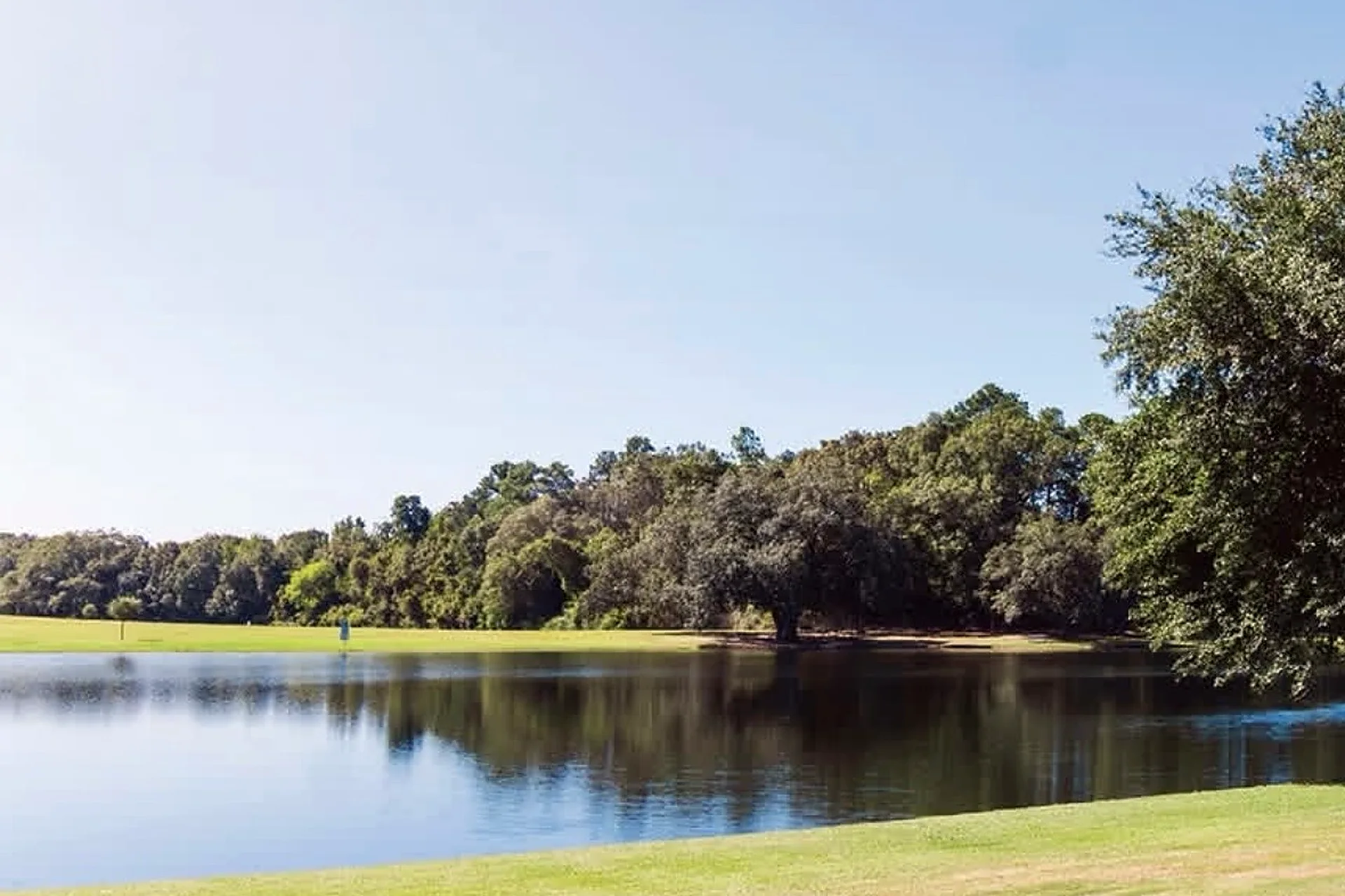 The pond at Eastgate Park in Dothan, ringed by live oaks and open lawn